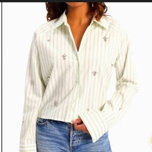 Express dress shirt
